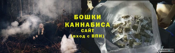 молекула духа Балахна