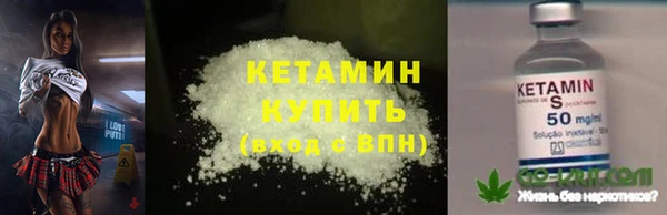 прущие грибы Баксан