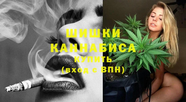прущие грибы Баксан