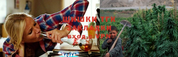 трава Арсеньев