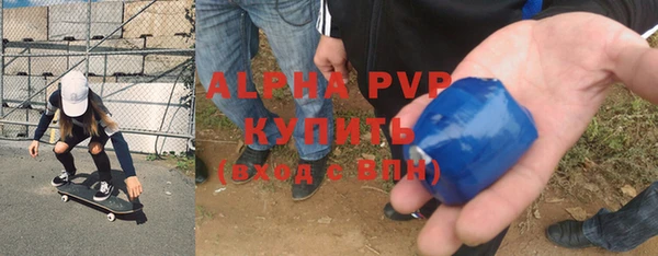 прущие грибы Баксан
