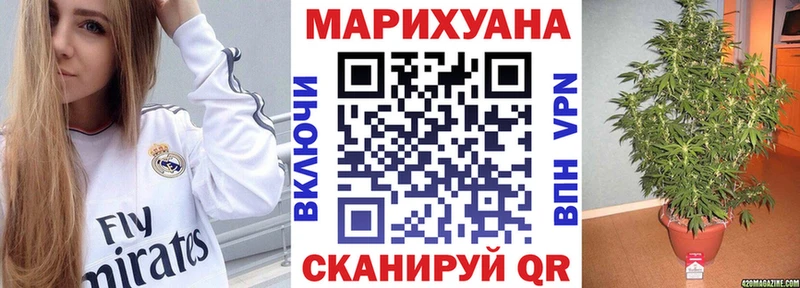 купить  цена  Баксан  Канабис ГИДРОПОН 